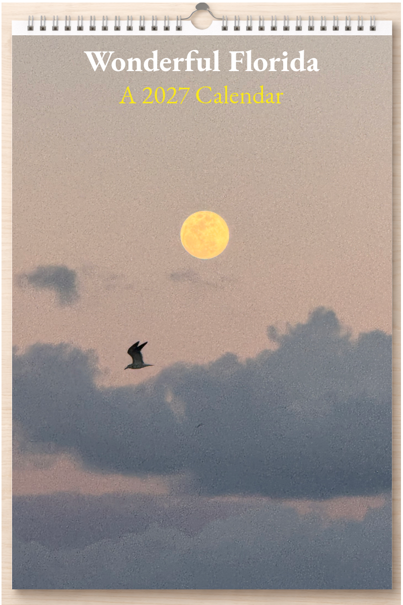 Wonderful Florida: A 2027 Calendar