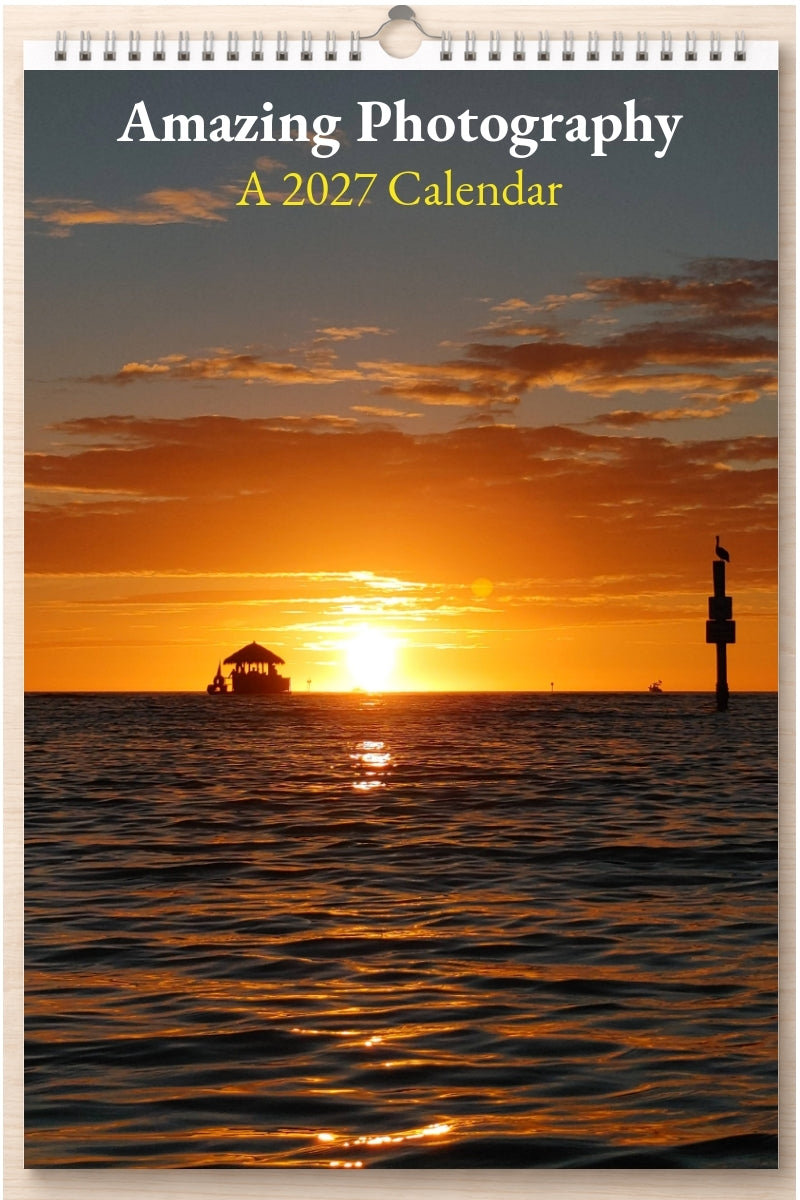 Amazing Photography: A 2027 Calendar