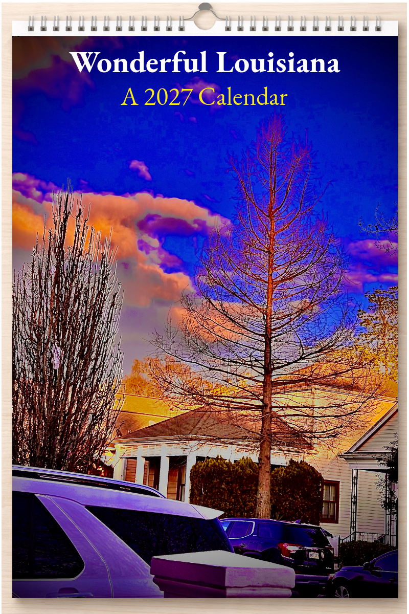 Wonderful Louisiana: A 2027 Calendar