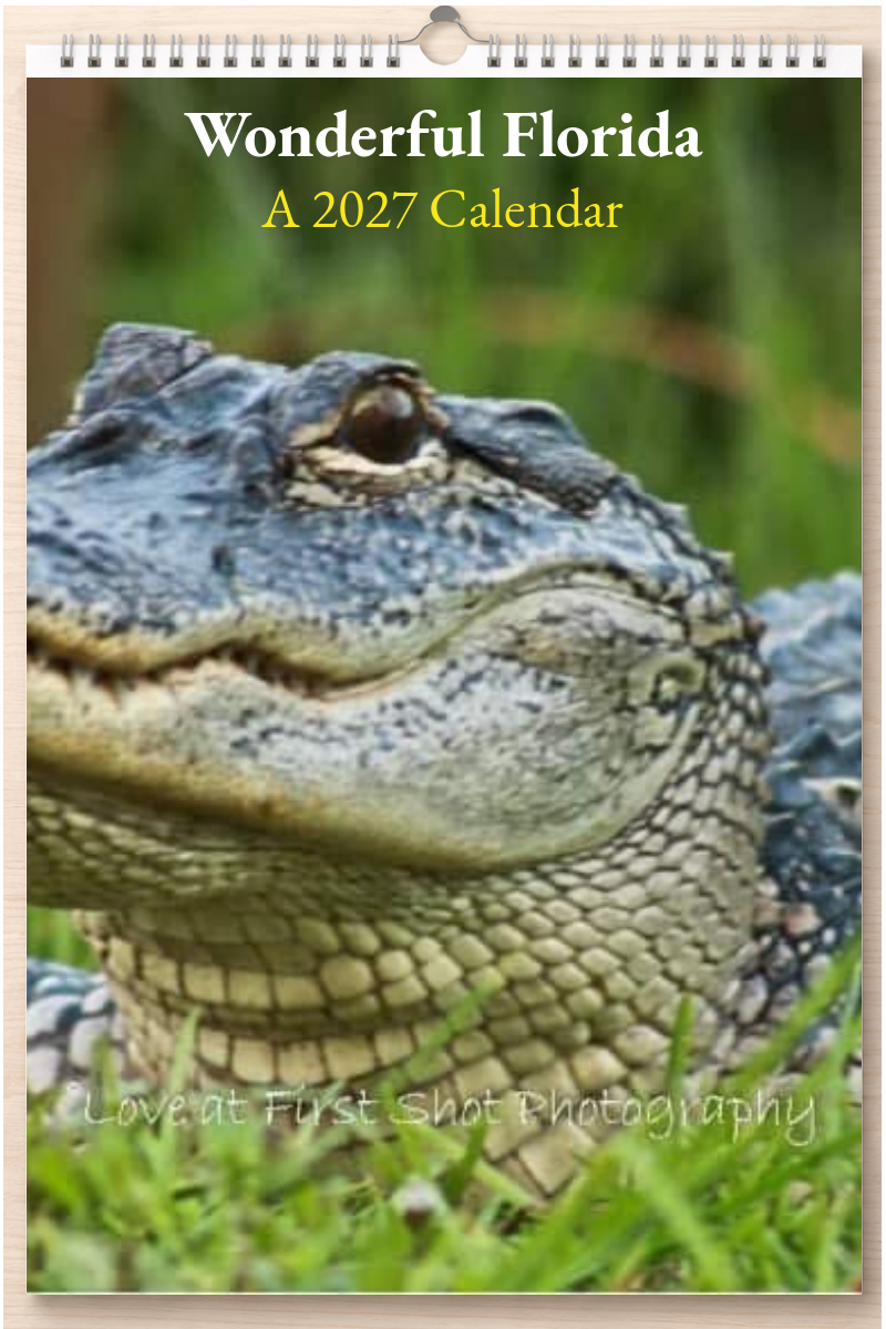 Wonderful Florida: A 2027 Calendar