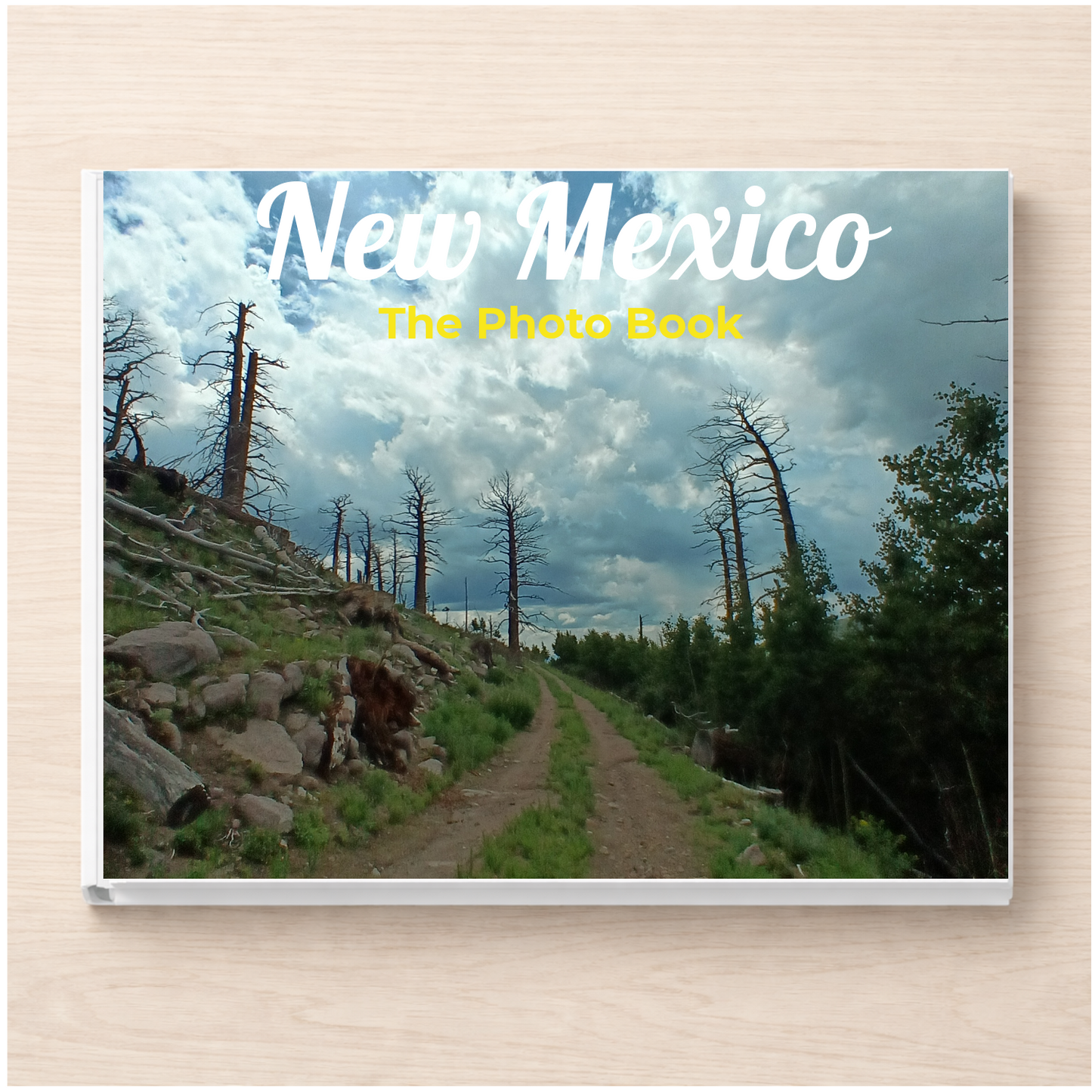 New Mexico: The Photo Book