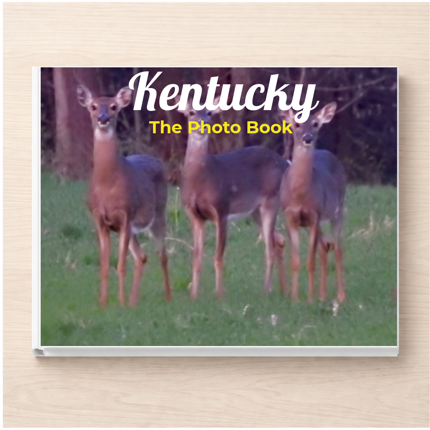 Kentucky: The Photo Book