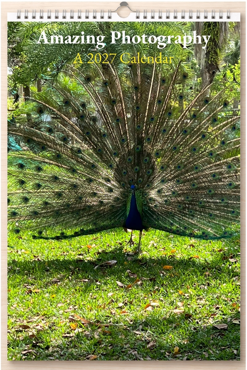 Amazing Photography: A 2027 Calendar