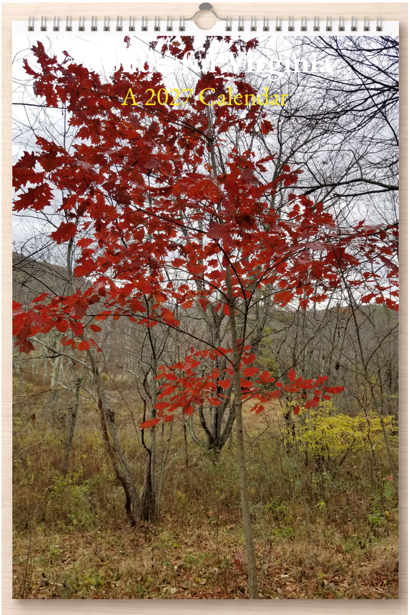Wonderful Virginia: A 2027 Calendar