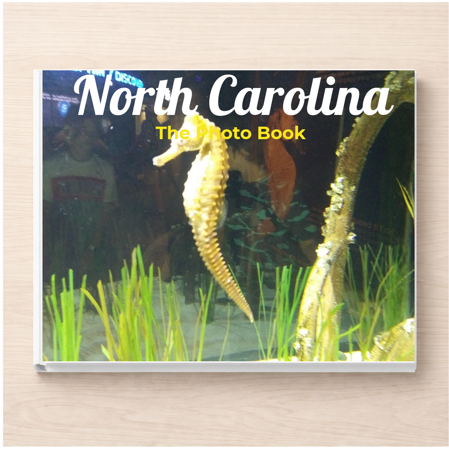 North Carolina: The Photo Book