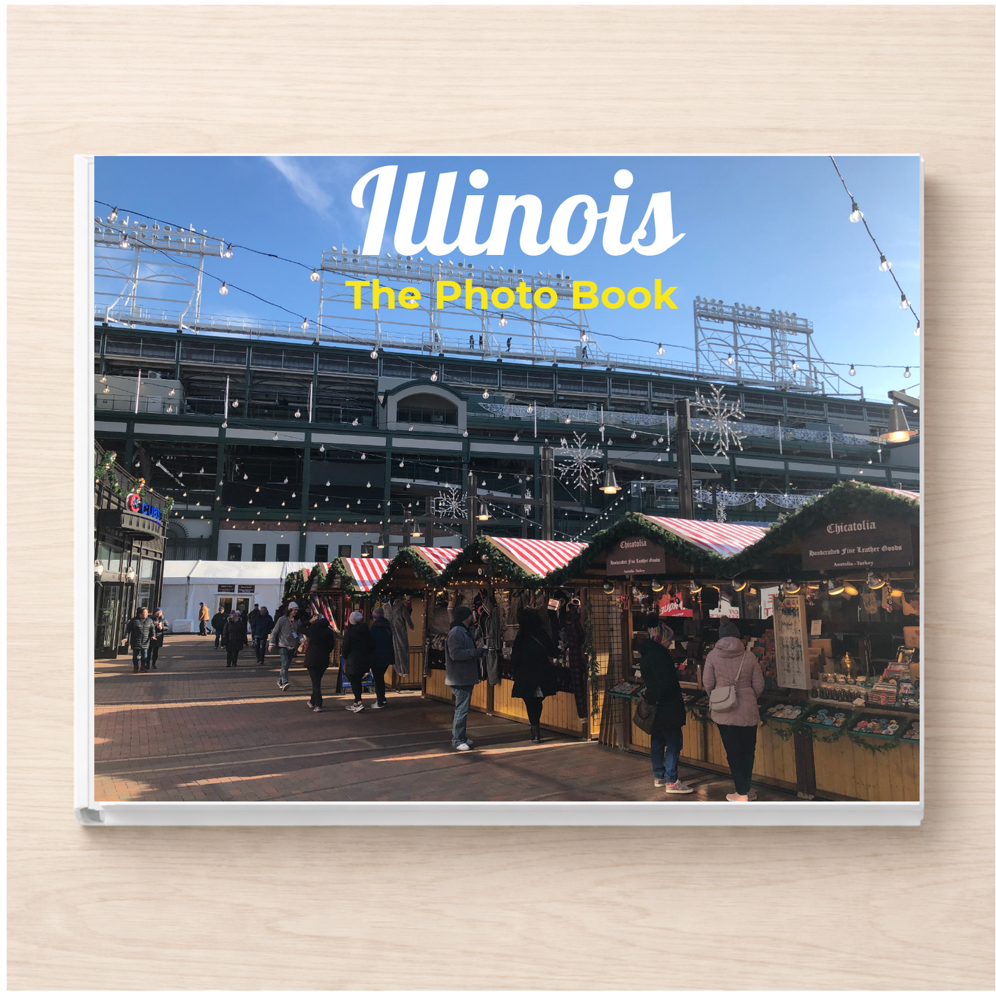 Illinois: The Photo Book