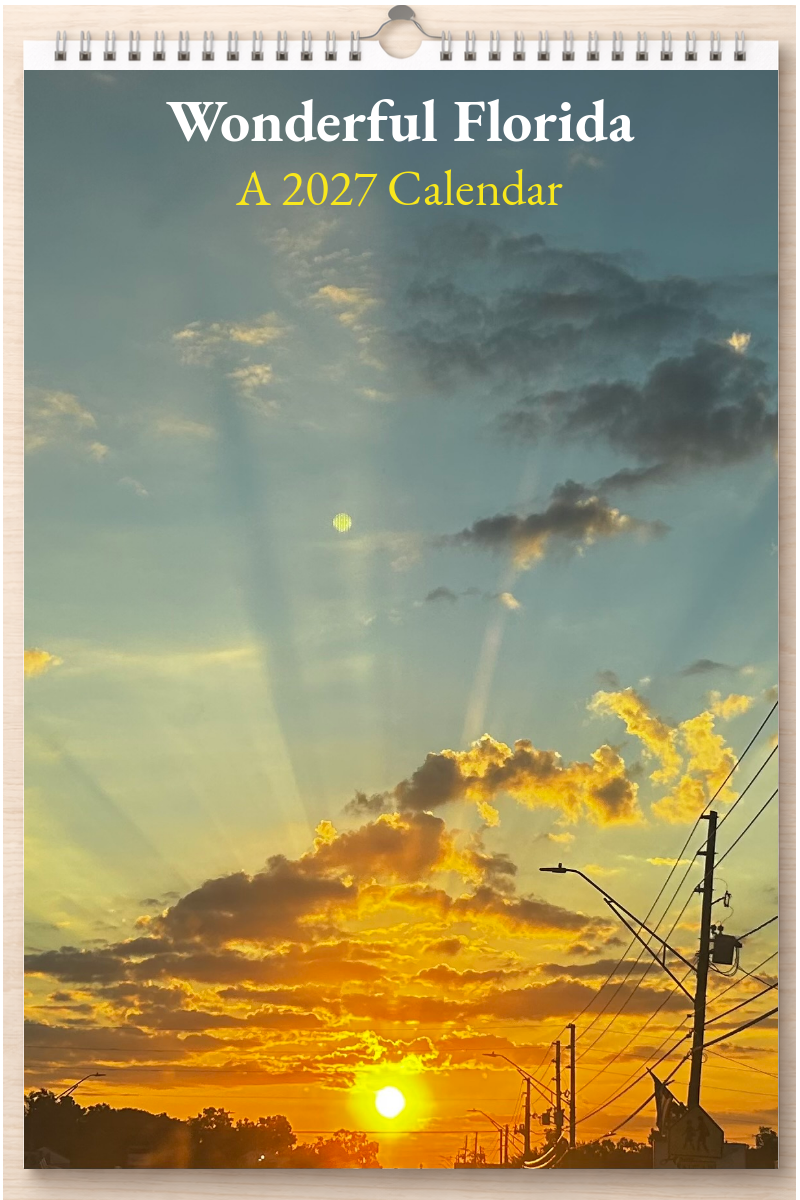 Wonderful Florida: A 2027 Calendar