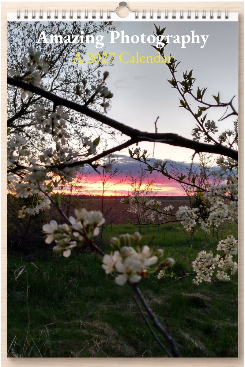 Amazing Photography: A 2027 Calendar