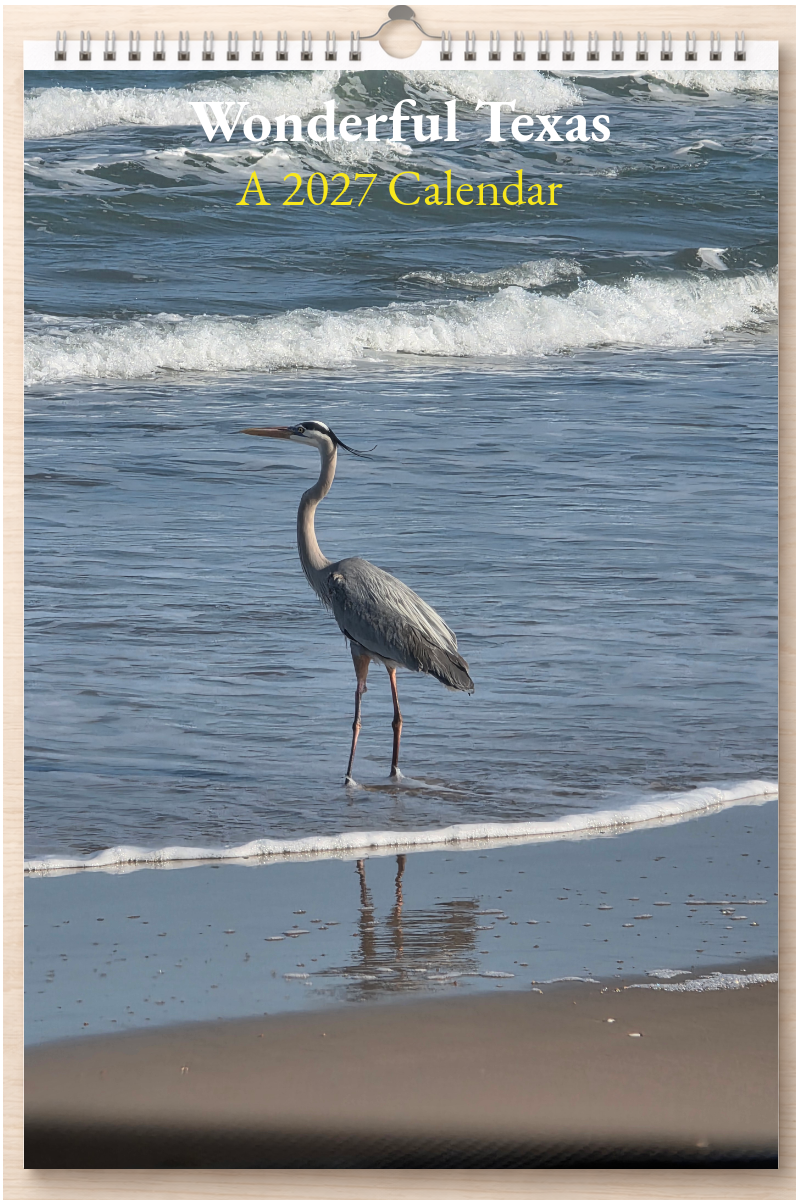 Wonderful Texas: A 2027 Calendar