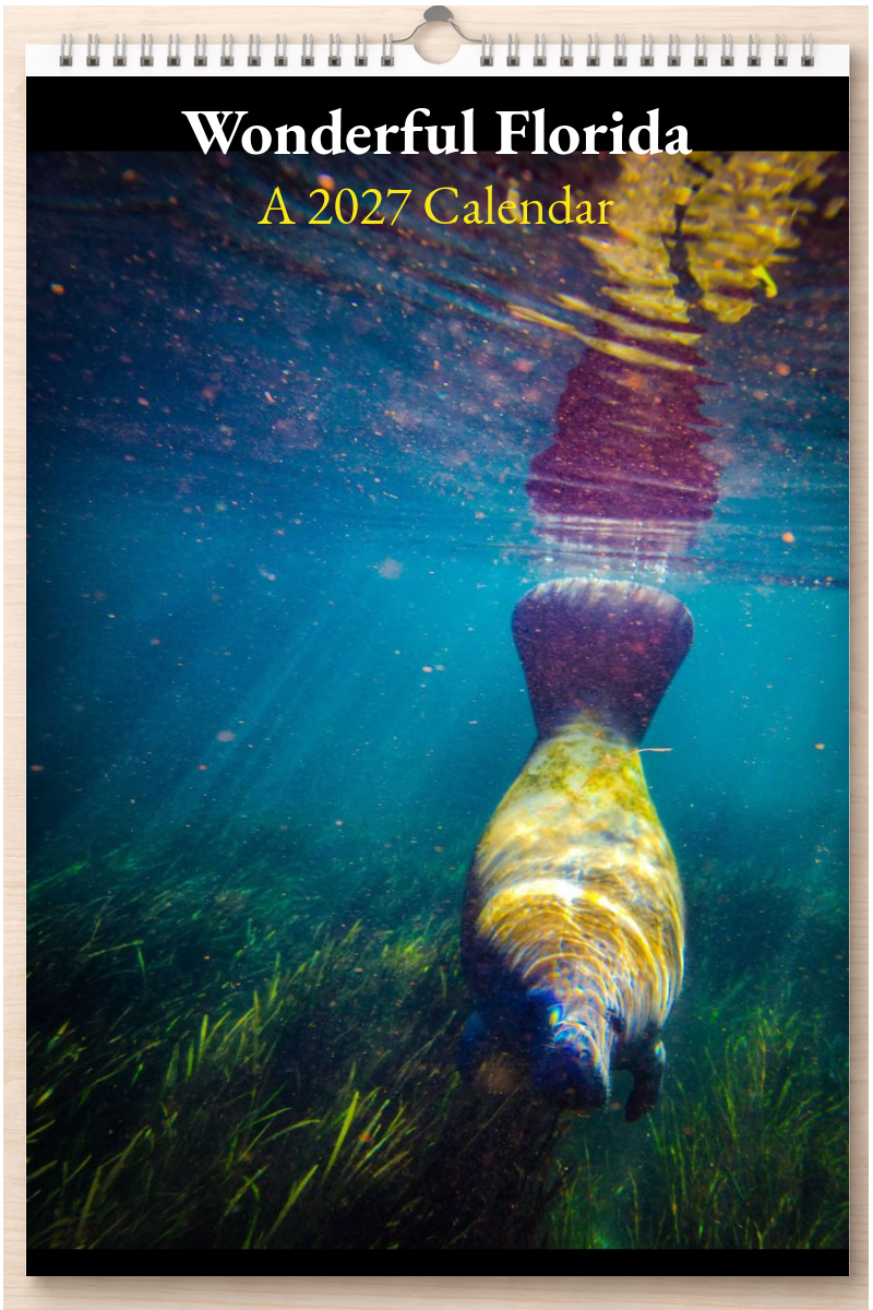Wonderful Florida: A 2027 Calendar