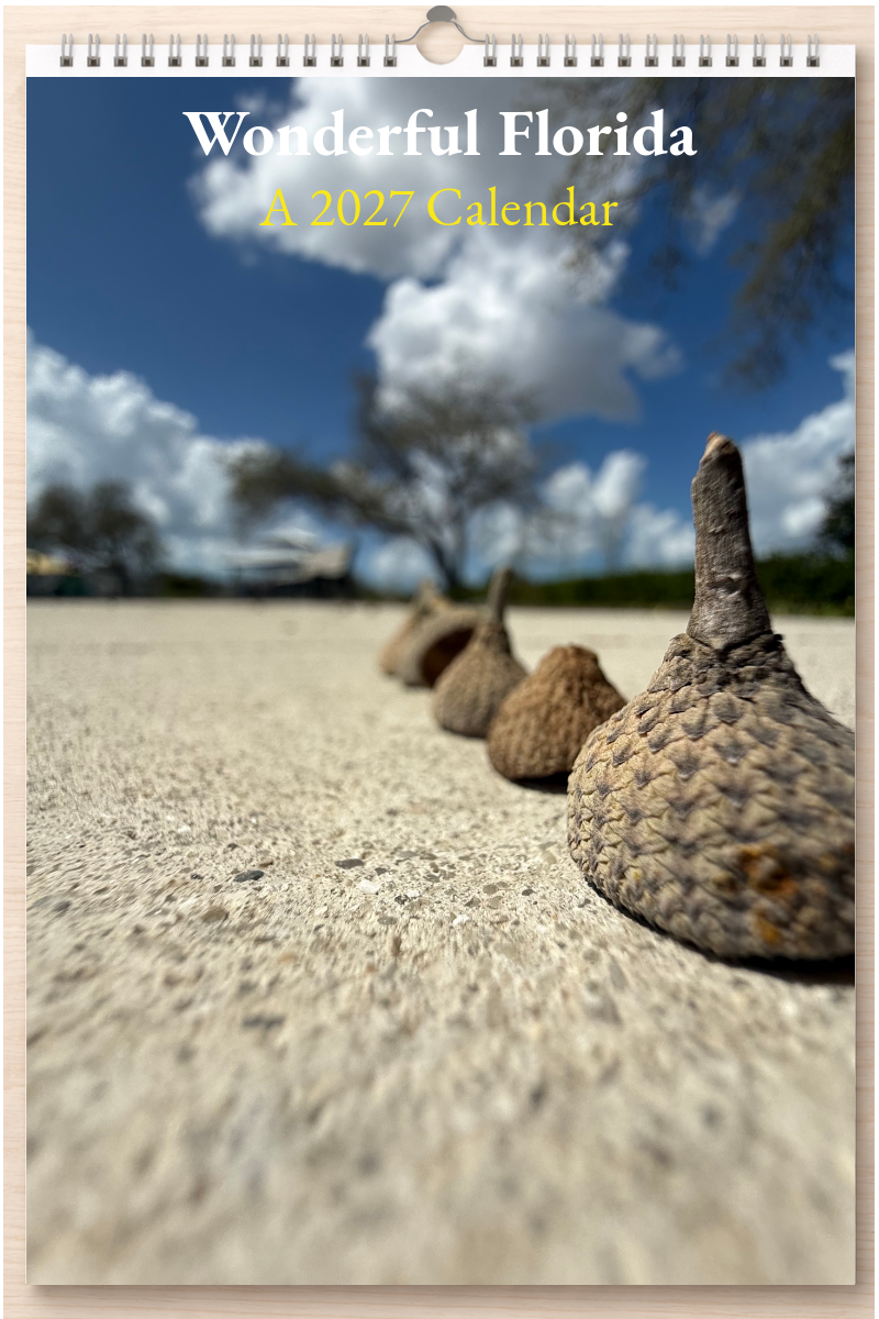 Wonderful Florida: A 2027 Calendar