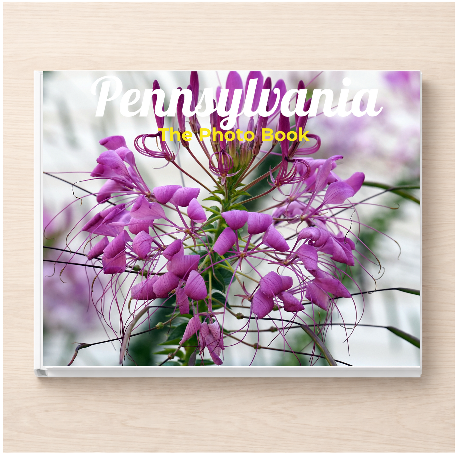 Pennsylvania: The Photo Book