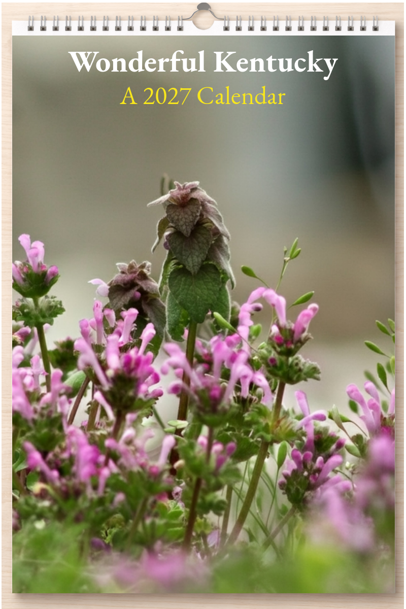 Wonderful Kentucky: A 2027 Calendar