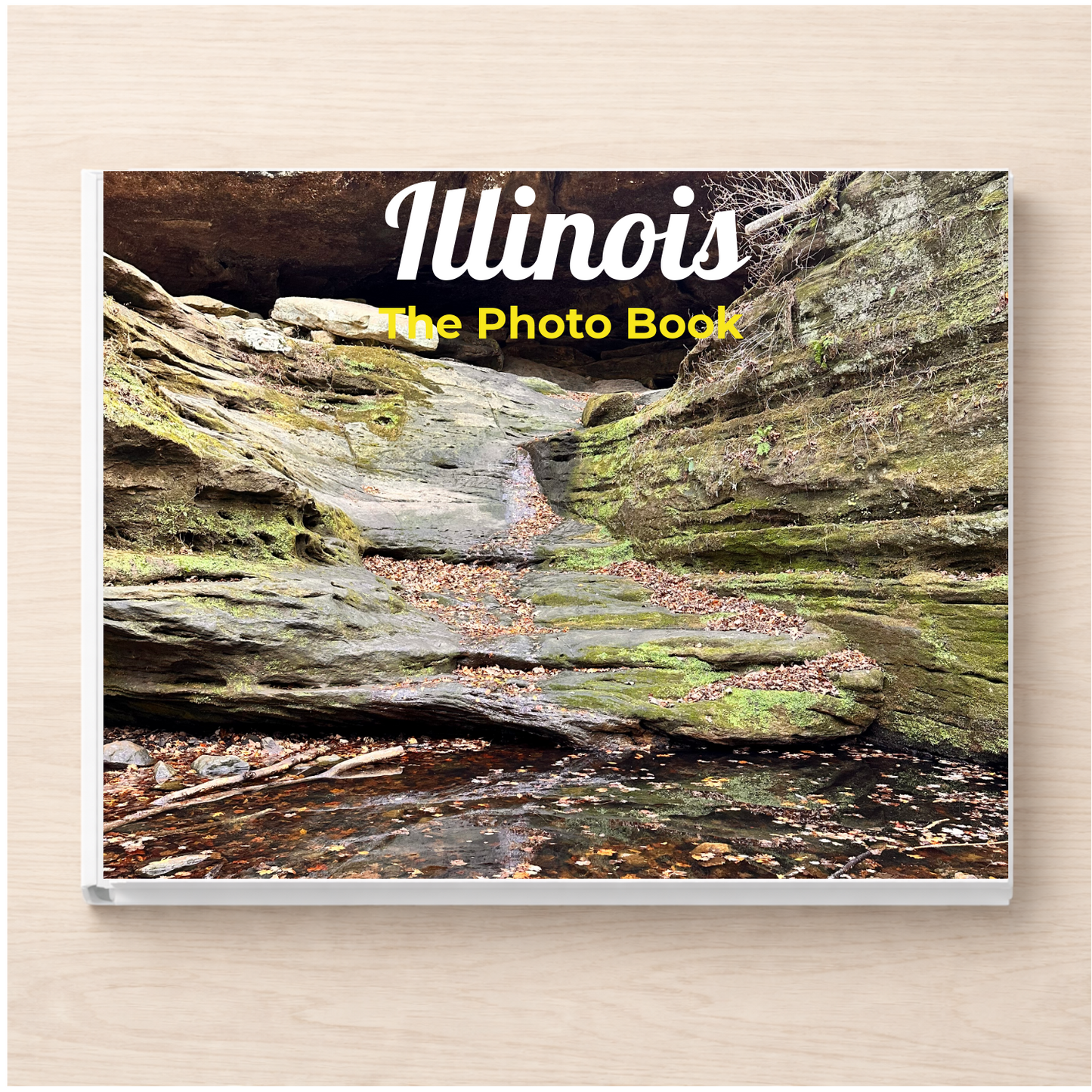 Illinois: The Photo Book