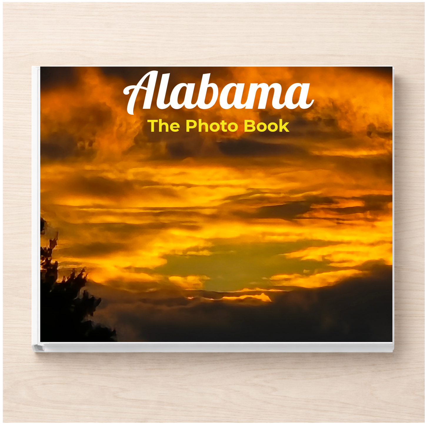 Alabama: The Photo Book