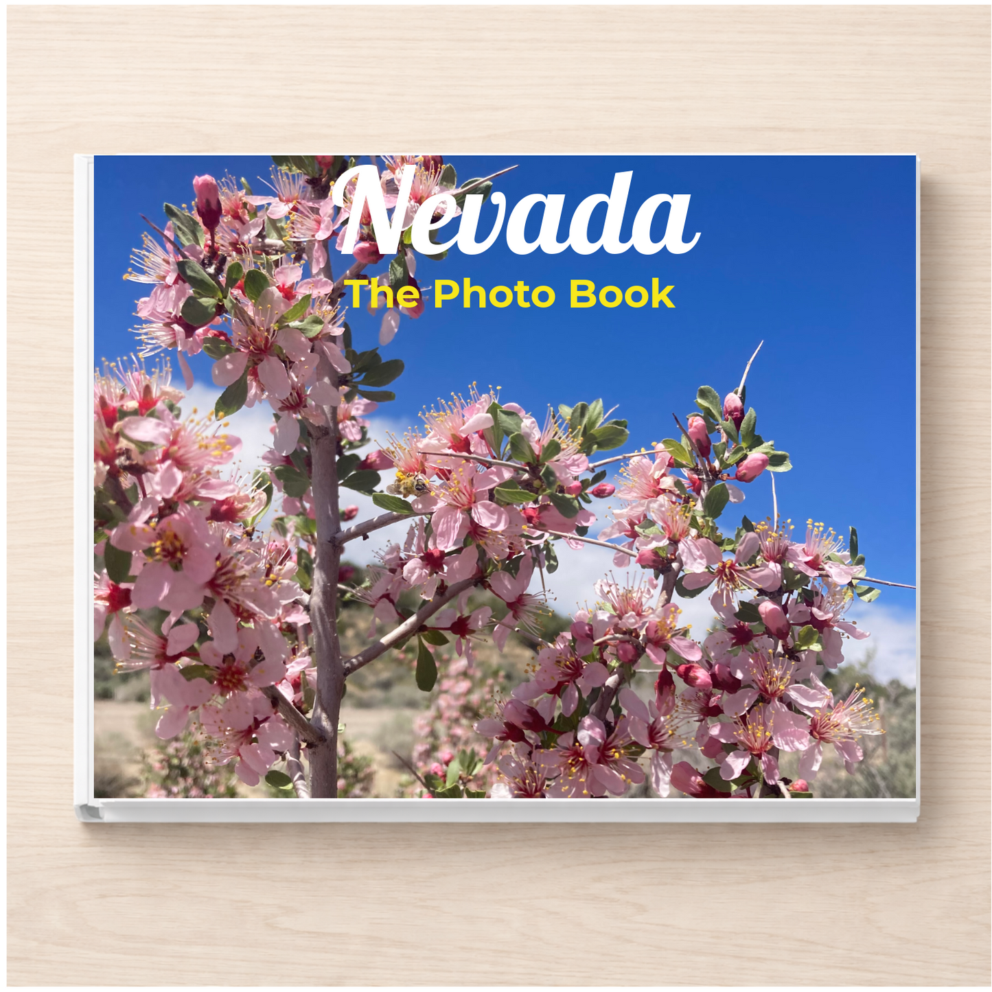 Nevada: The Photo Book