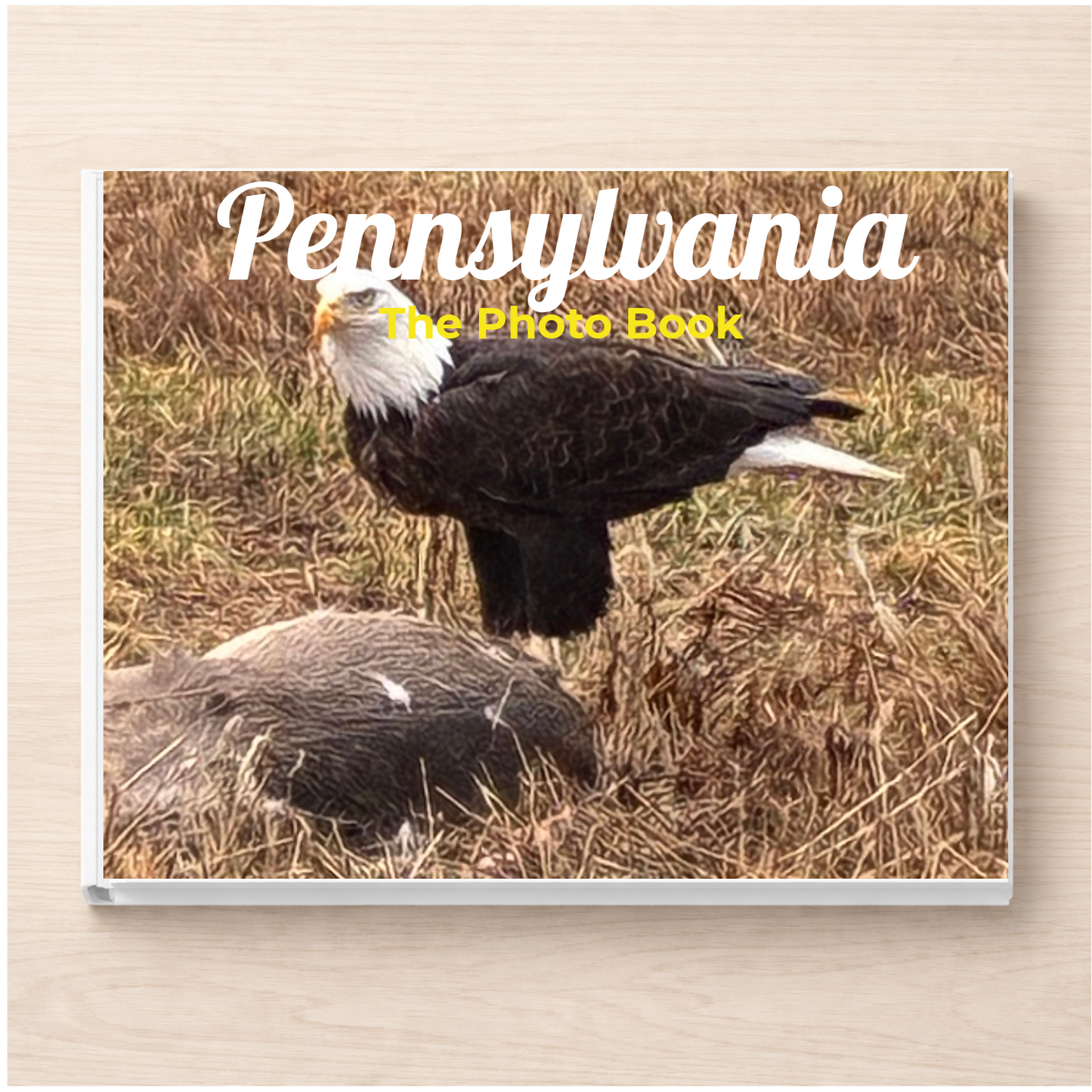 Pennsylvania: The Photo Book