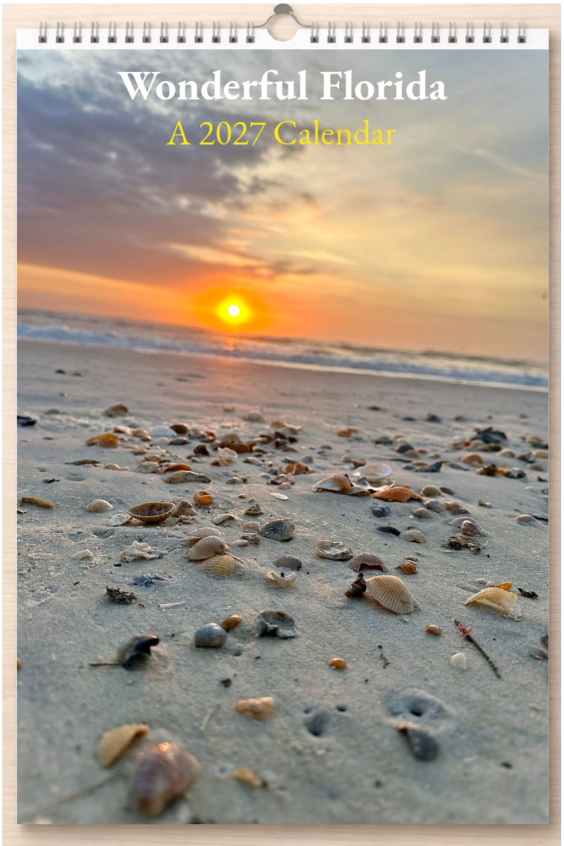 Wonderful Florida: A 2027 Calendar