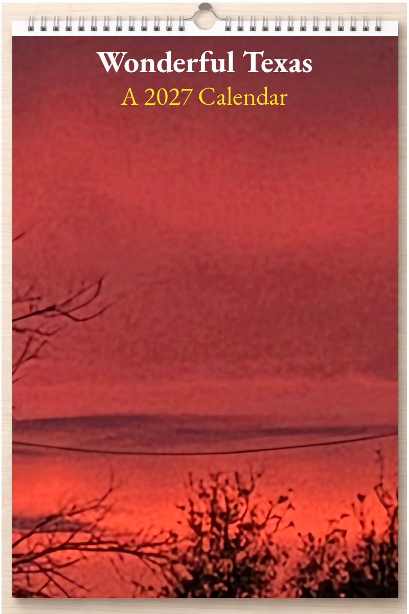 Wonderful Texas: A 2027 Calendar