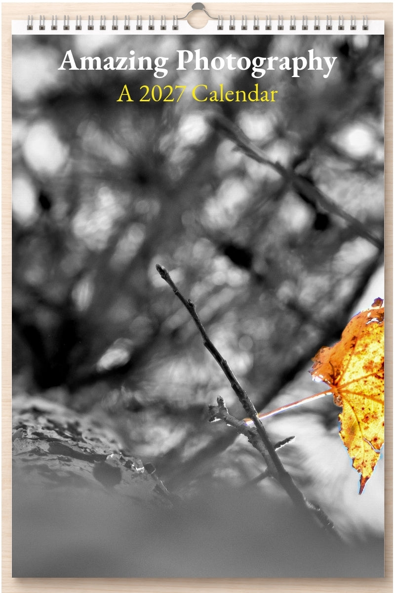 Amazing Photography: A 2027 Calendar