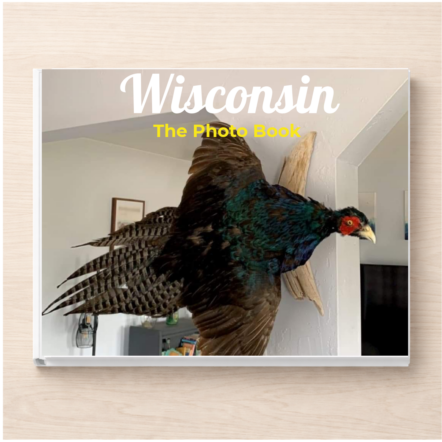 Wisconsin: The Photo Book