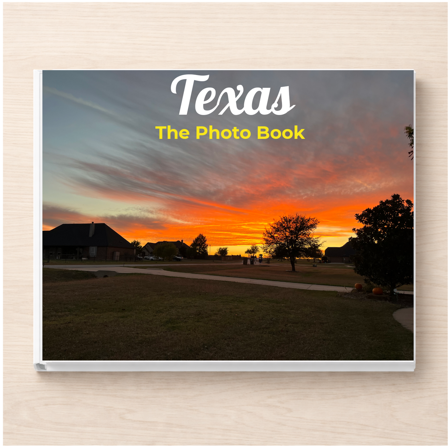 Texas: The Photo Book