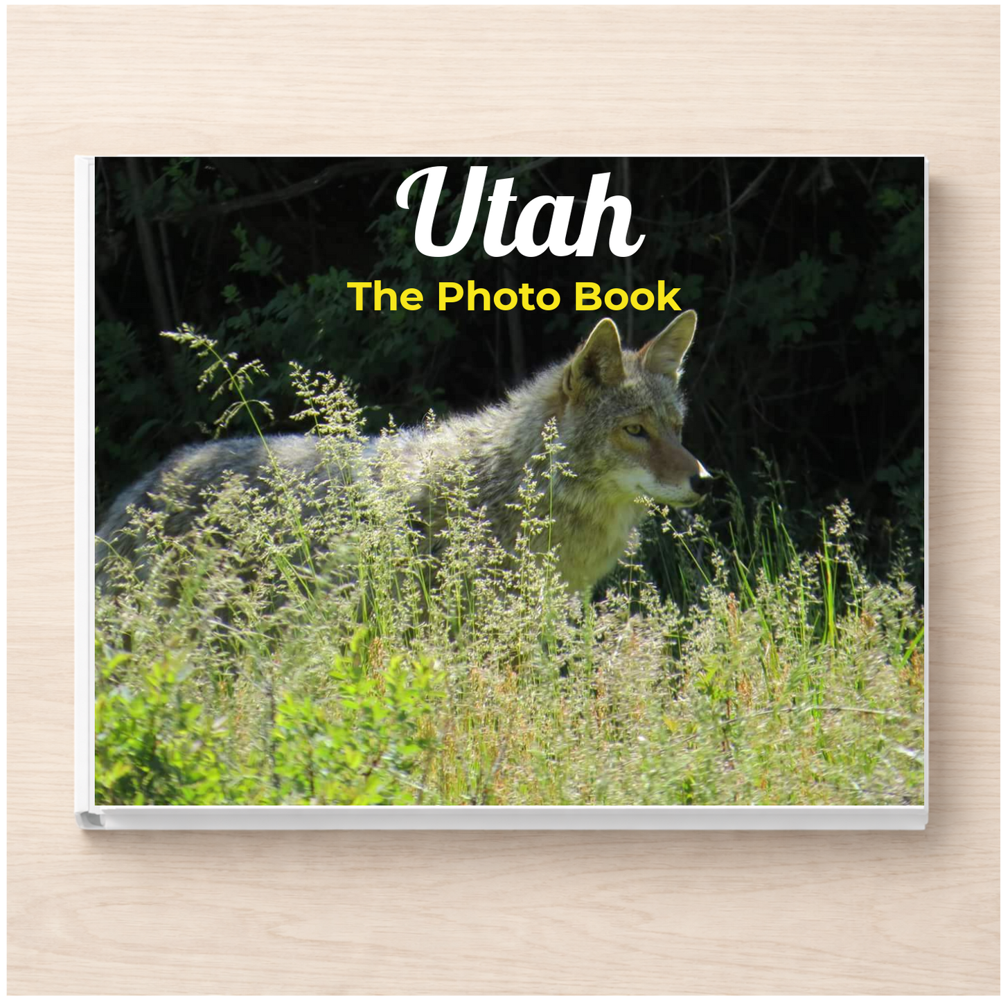Utah: The Photo Book