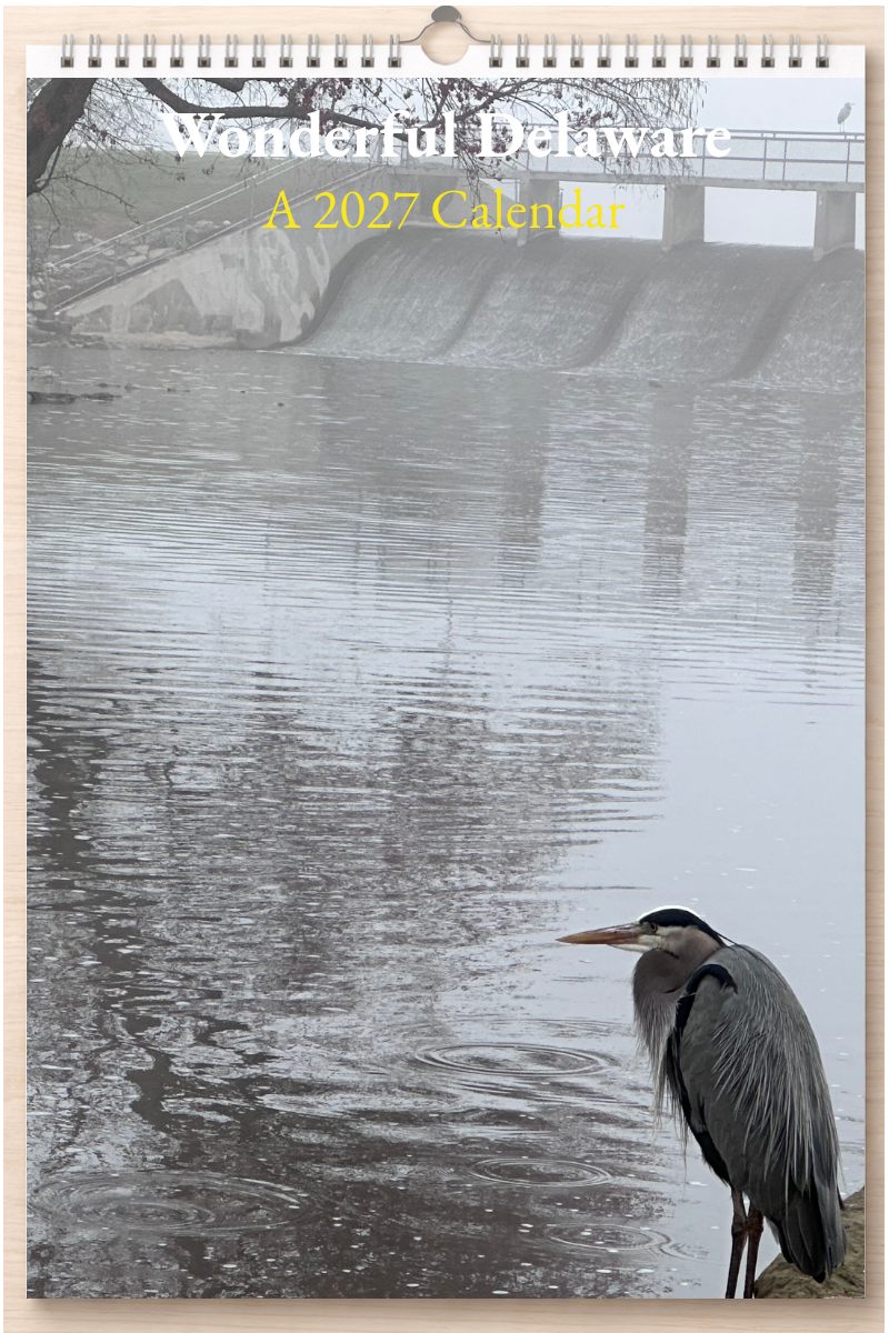 Wonderful Delaware: A 2027 Calendar