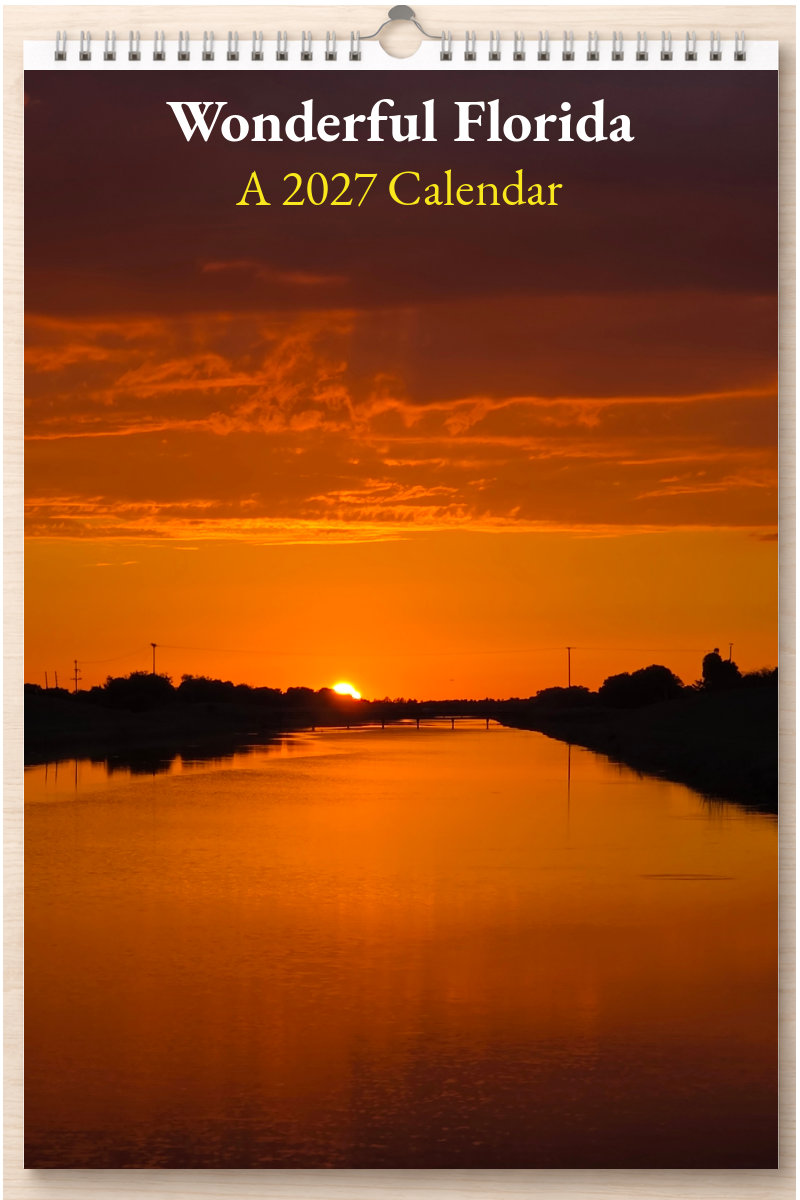 Wonderful Florida: A 2027 Calendar