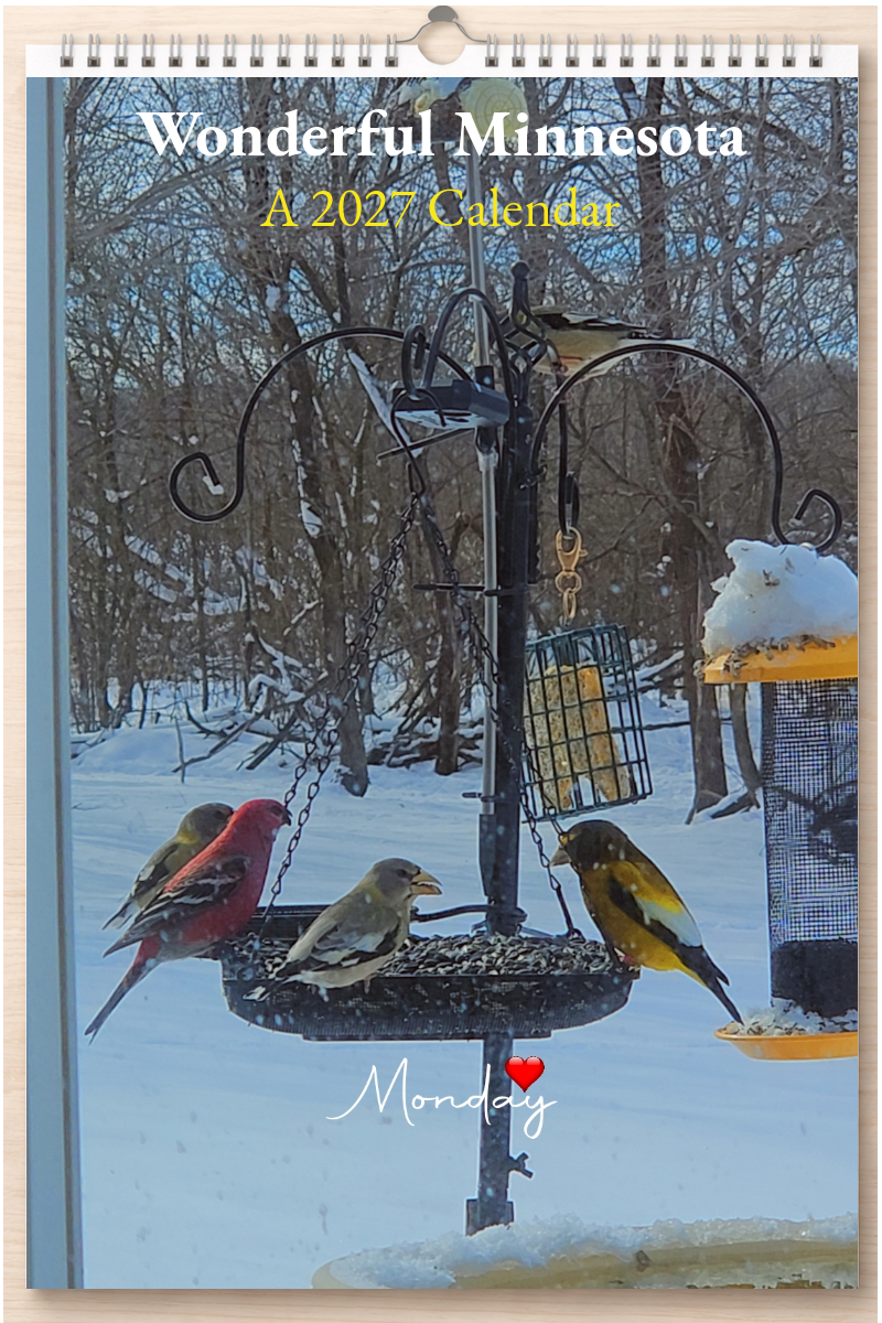 Wonderful Minnesota: A 2027 Calendar