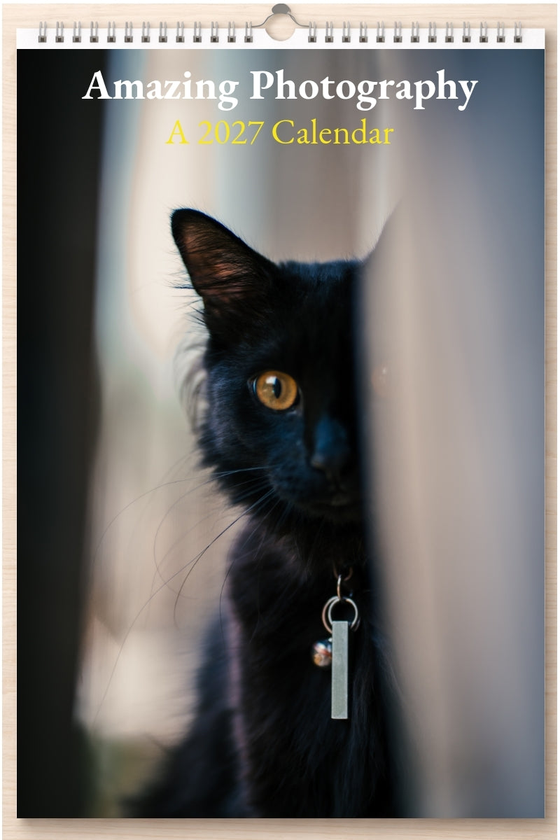 Amazing Photography: A 2027 Calendar