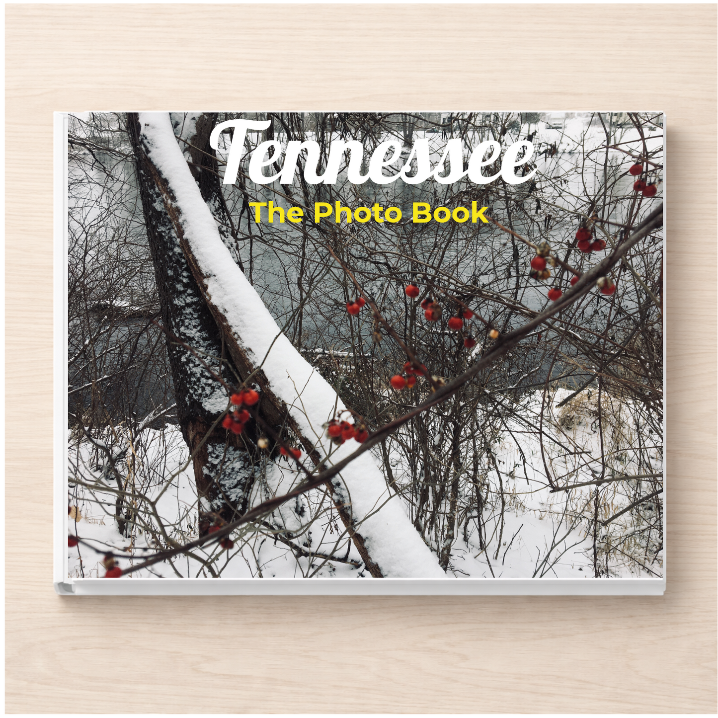 Tennessee: The Photo Book