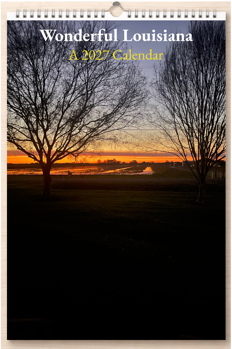 Wonderful Louisiana: A 2027 Calendar