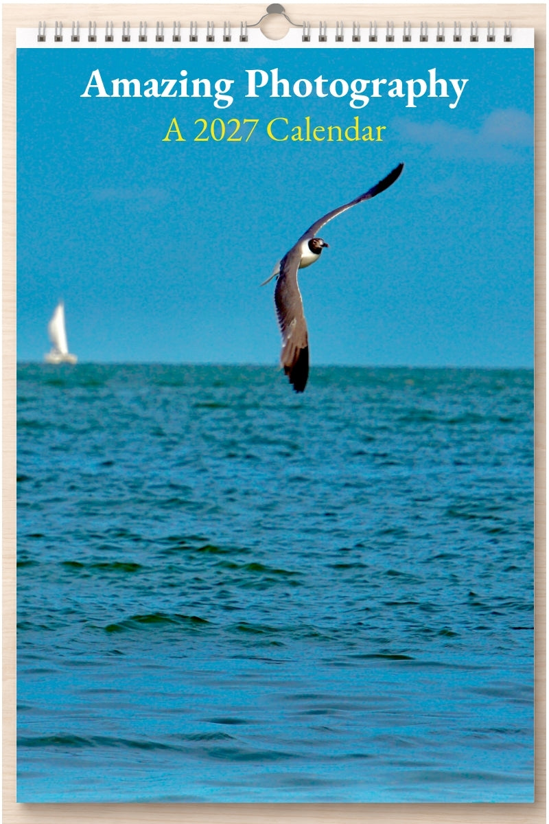 Amazing Photography: A 2027 Calendar