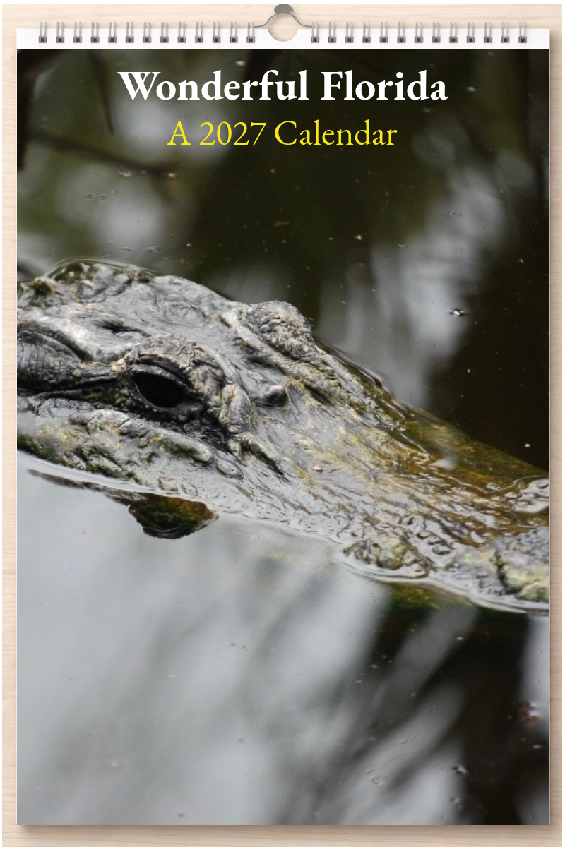 Wonderful Florida: A 2027 Calendar
