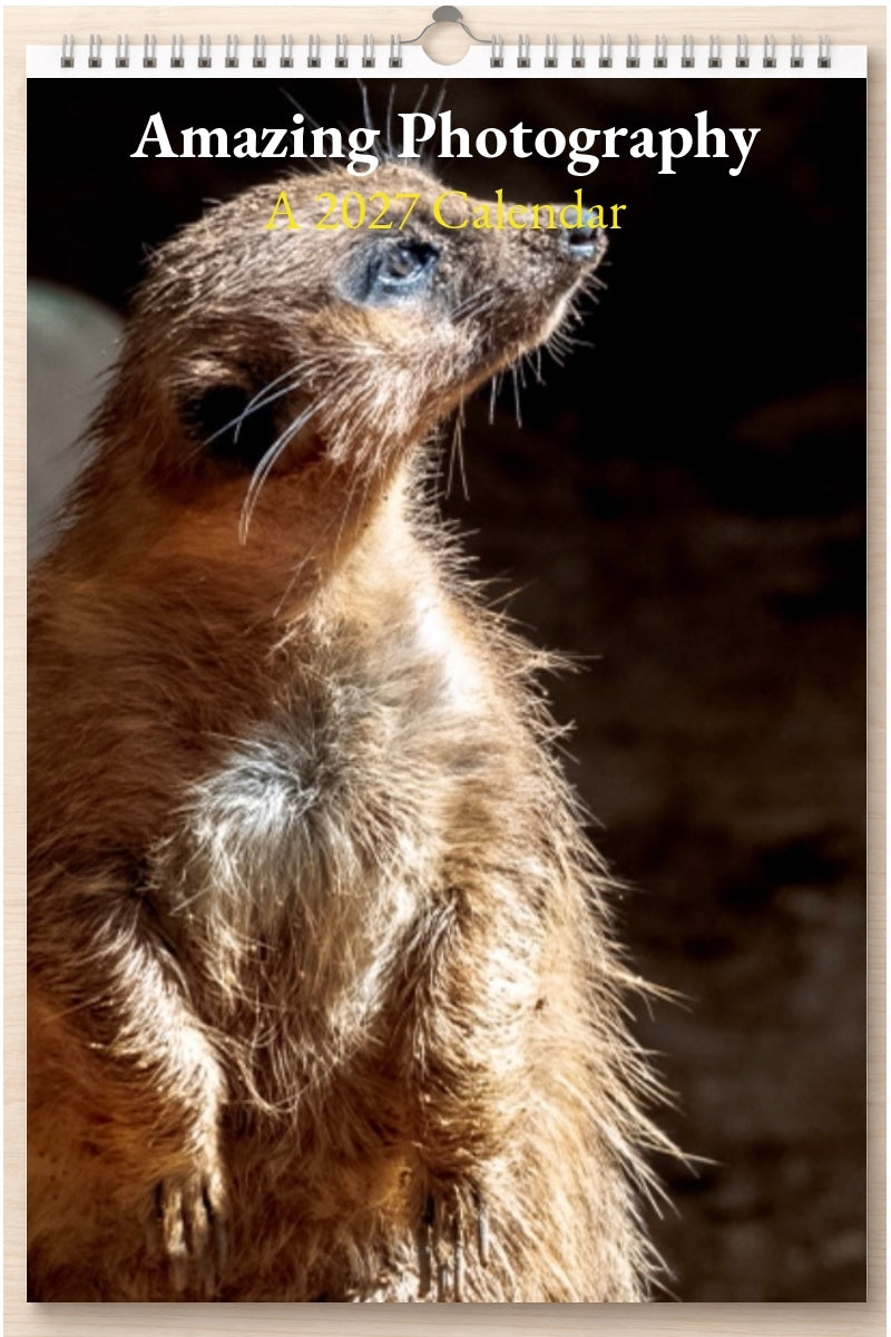 Amazing Photography: A 2027 Calendar