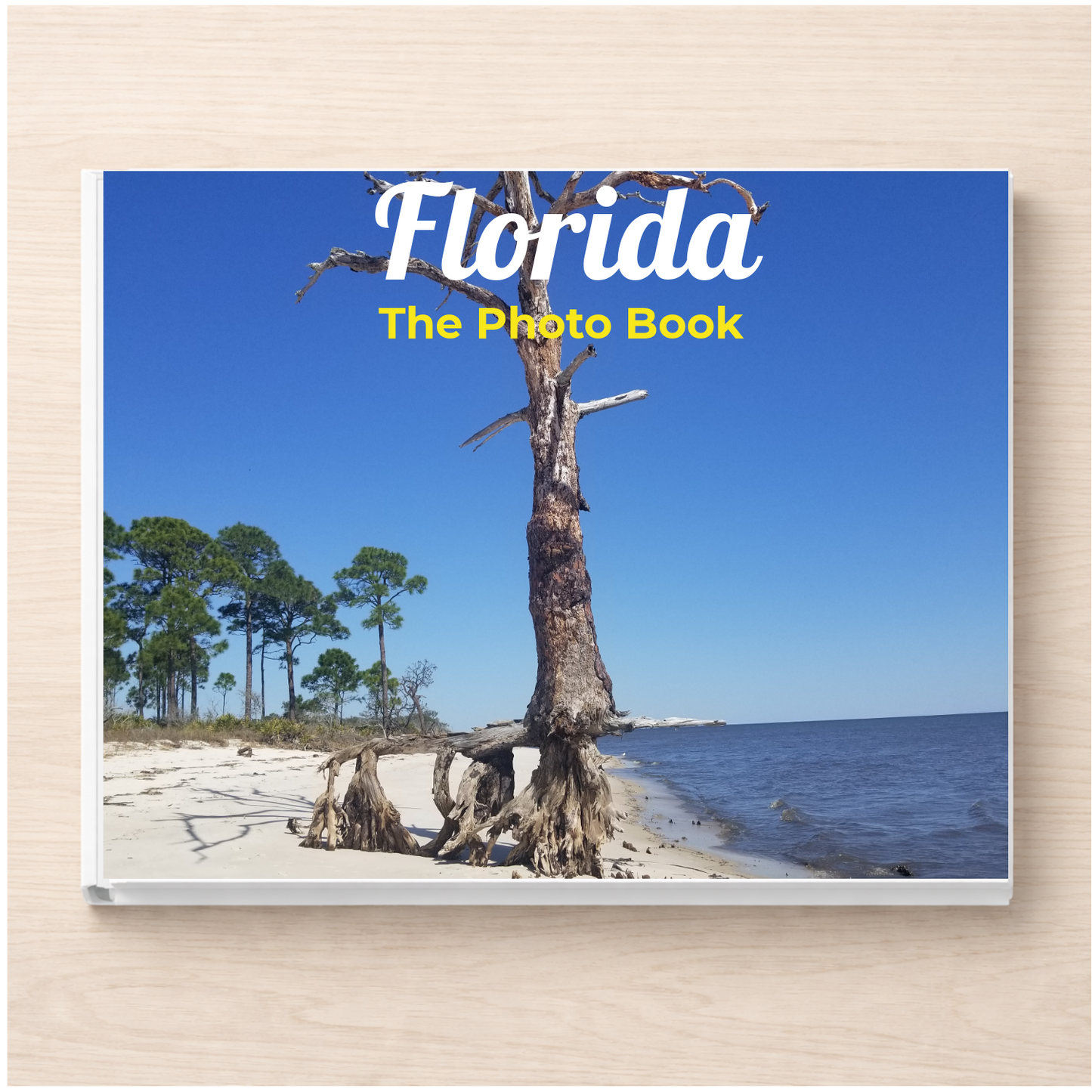 Florida: The Photo Book