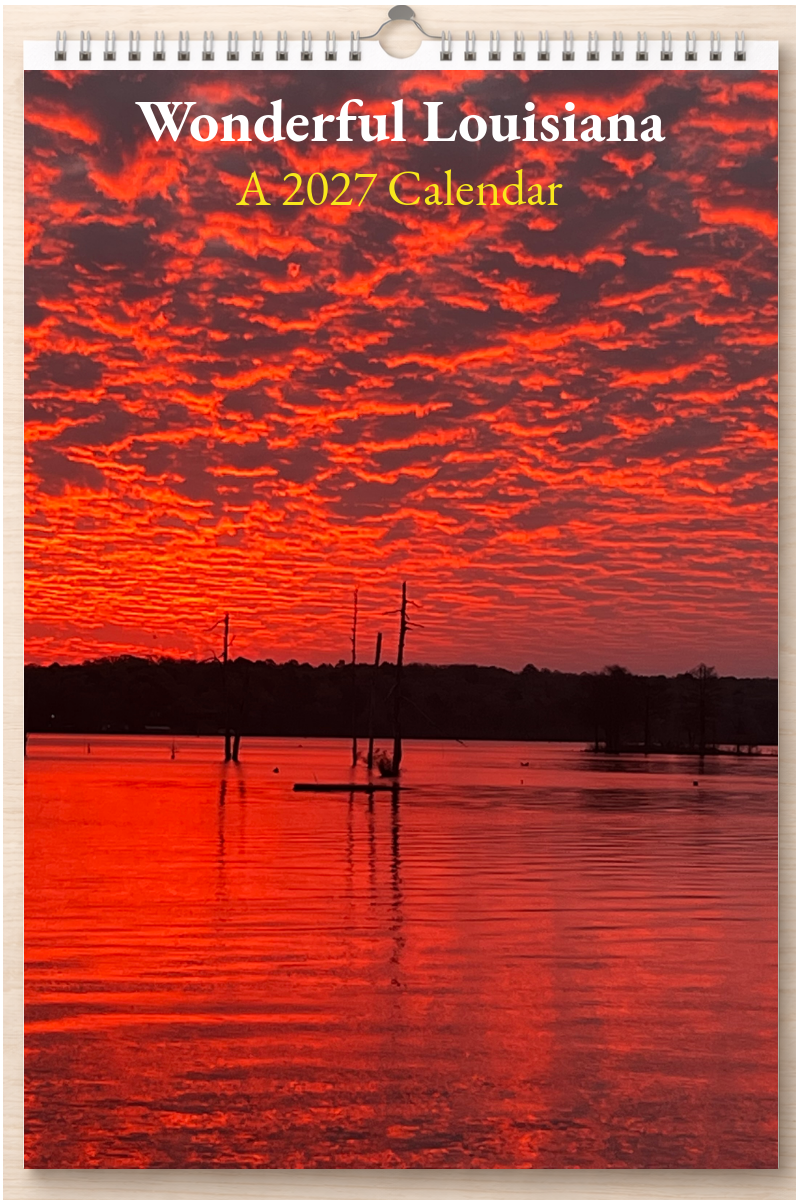 Wonderful Louisiana: A 2027 Calendar