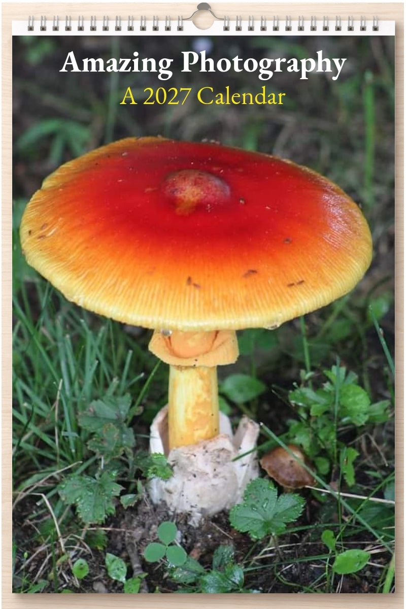 Amazing Photography: A 2027 Calendar