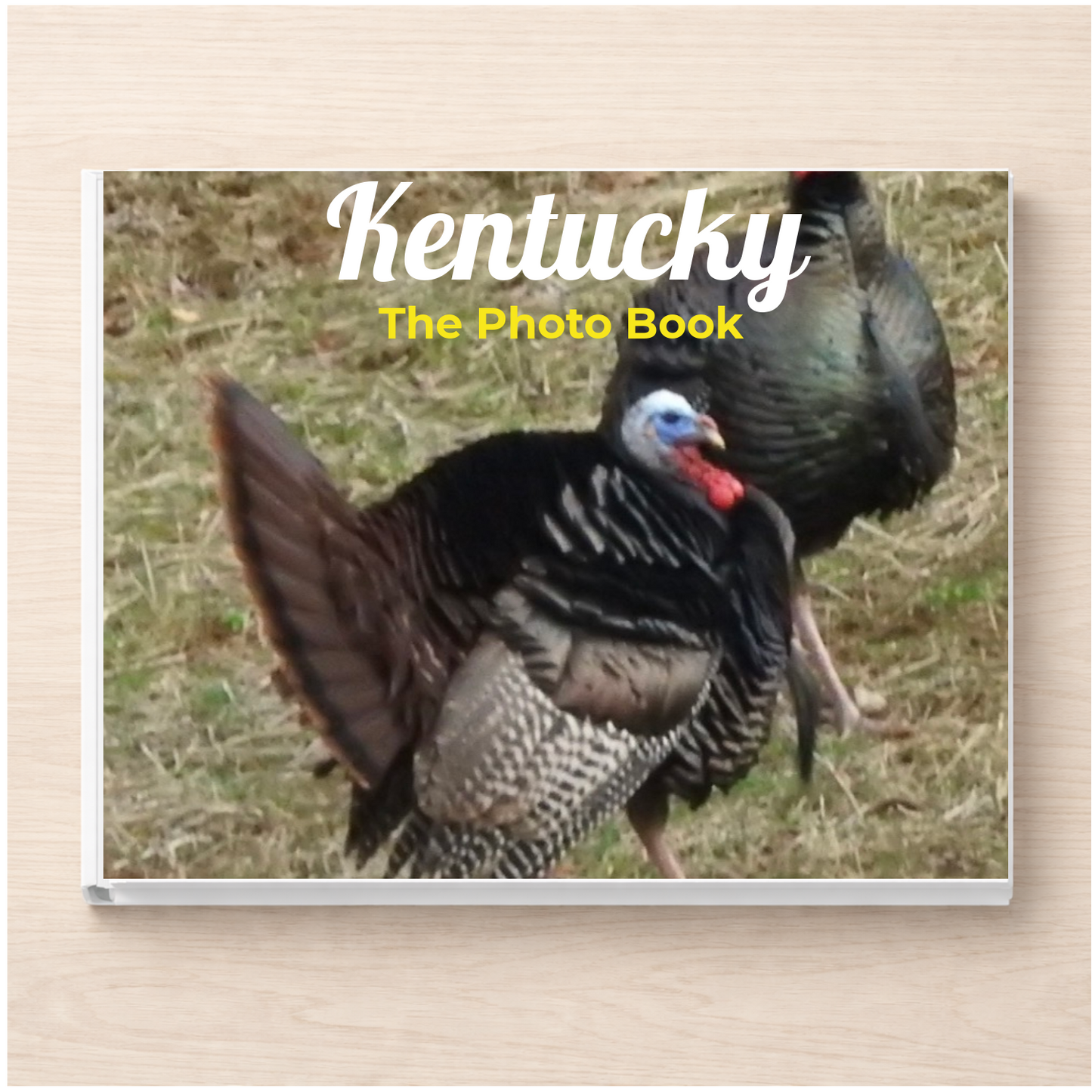 Kentucky: The Photo Book