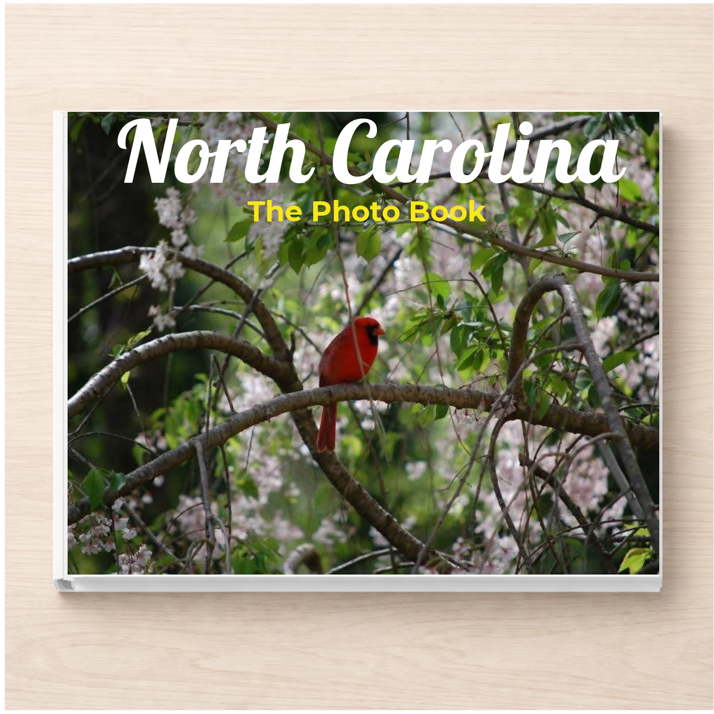 North Carolina: The Photo Book