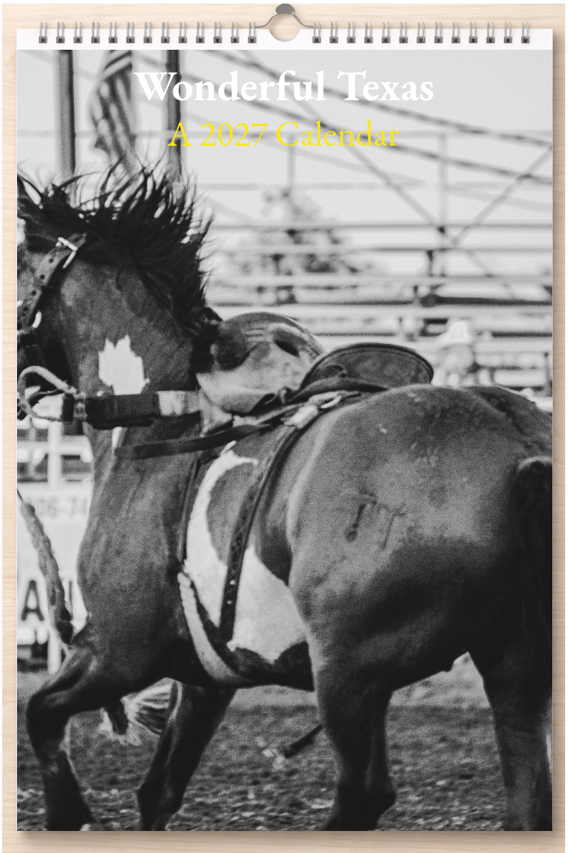 Wonderful Texas: A 2027 Calendar