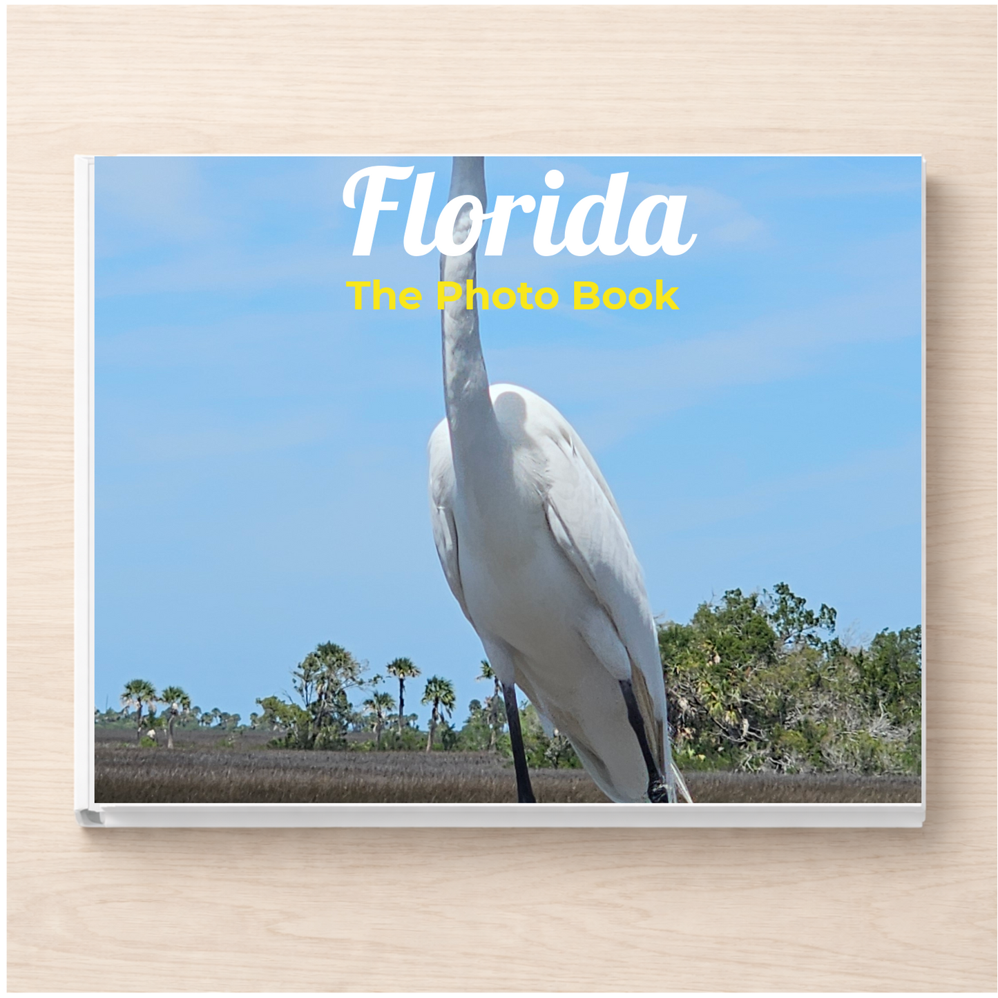 Florida: The Photo Book