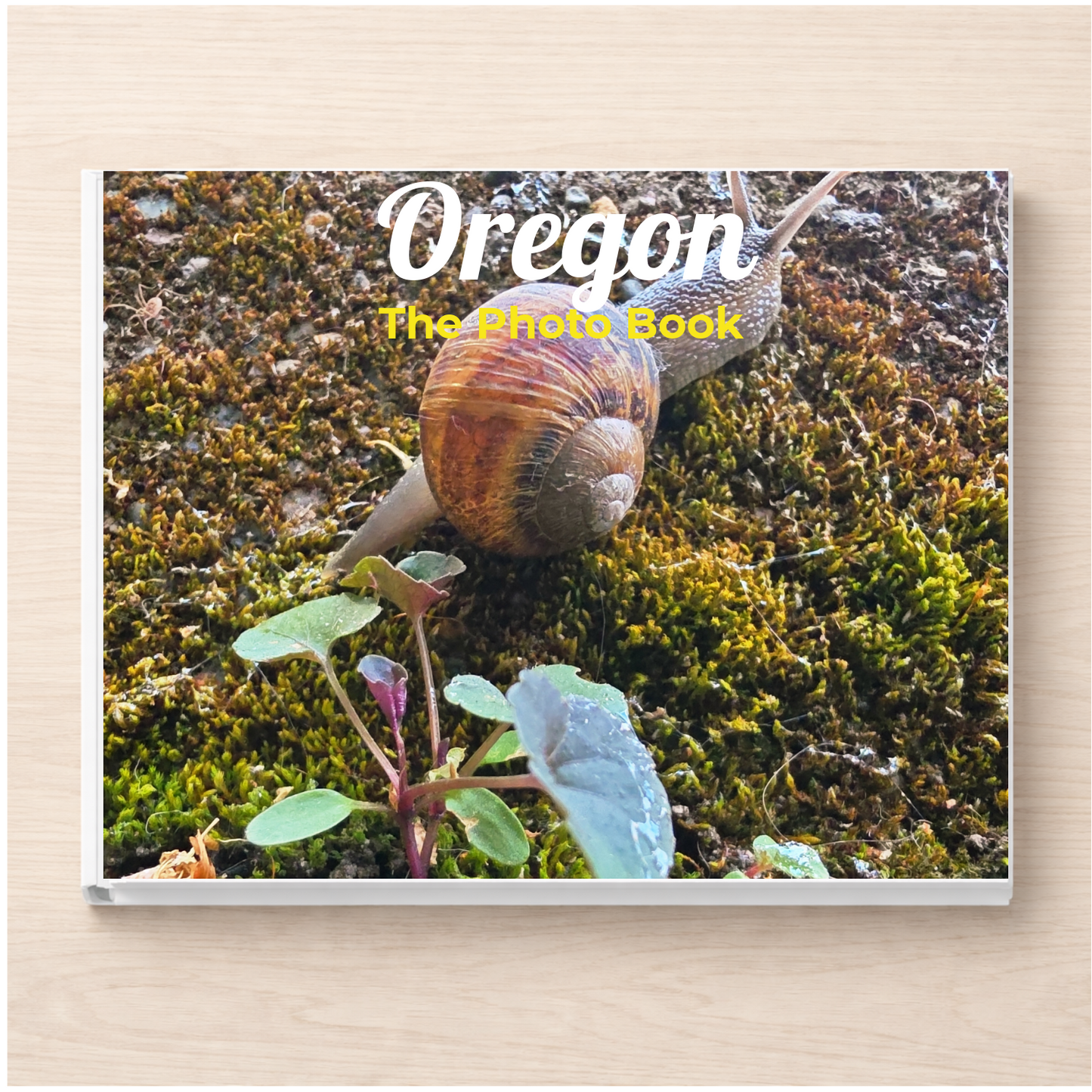 Oregon: The Photo Book