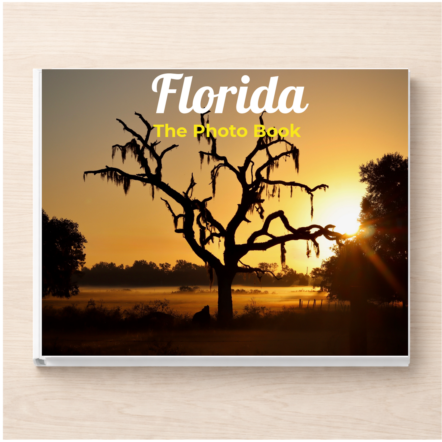 Florida: The Photo Book
