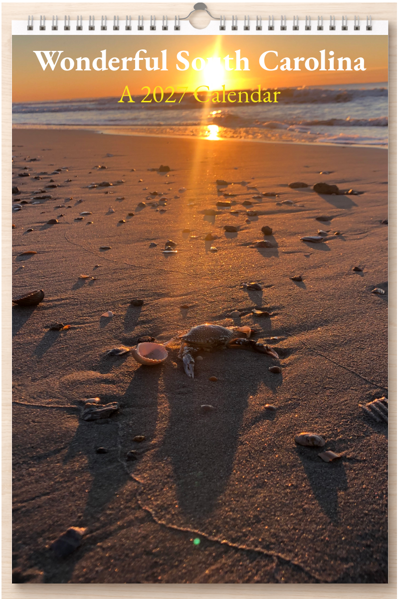 Wonderful South Carolina: A 2027 Calendar