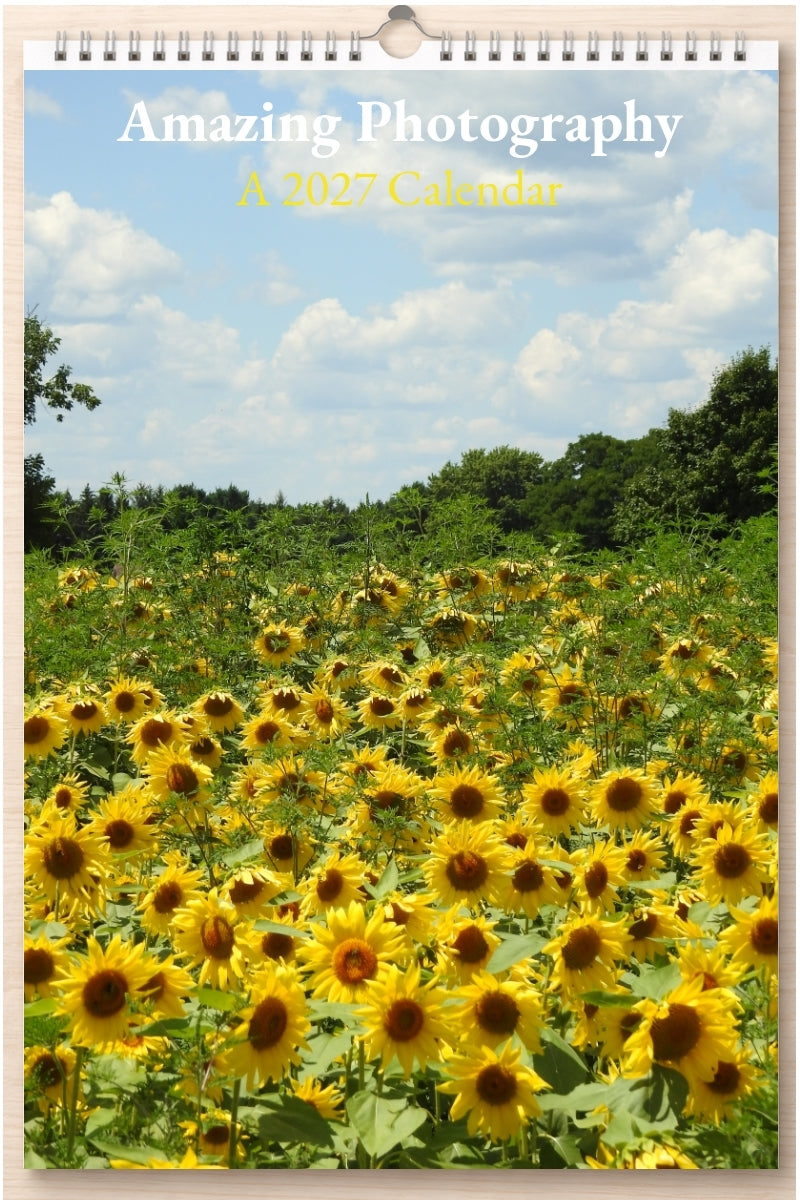Amazing Photography: A 2027 Calendar