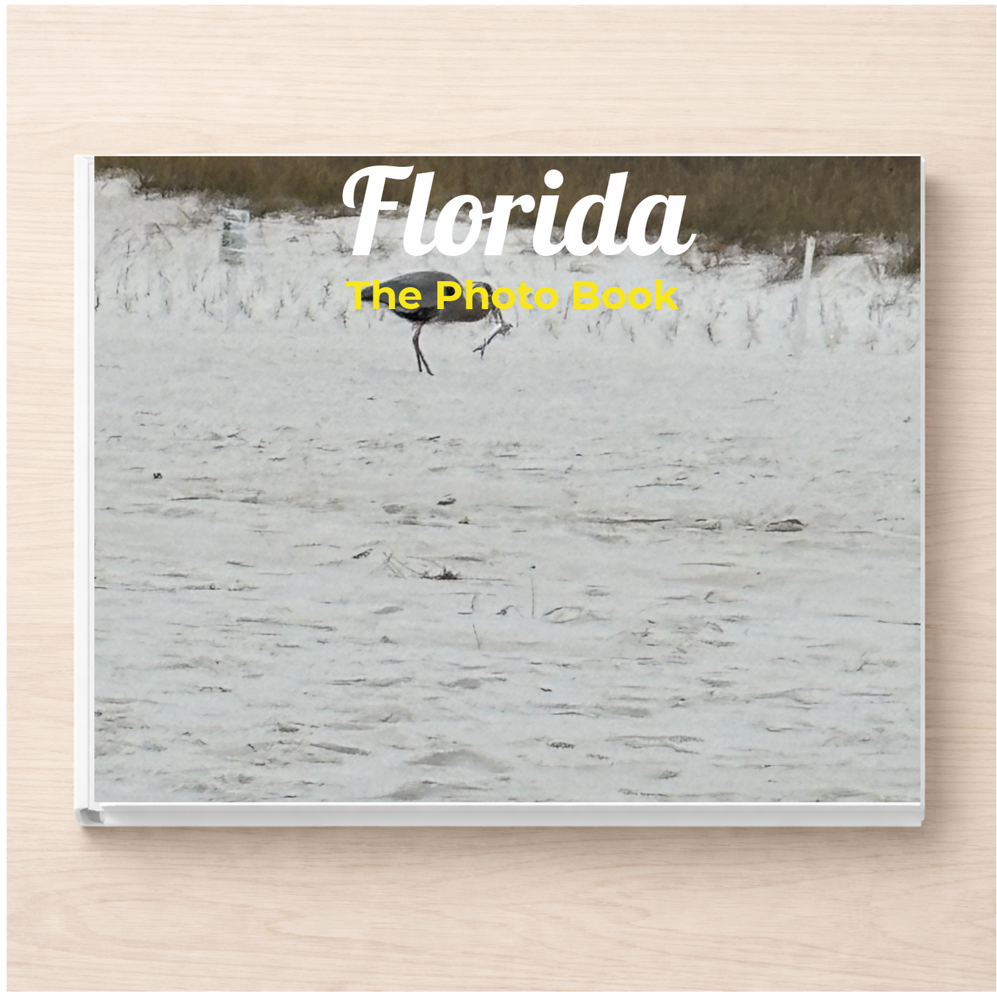 Florida: The Photo Book