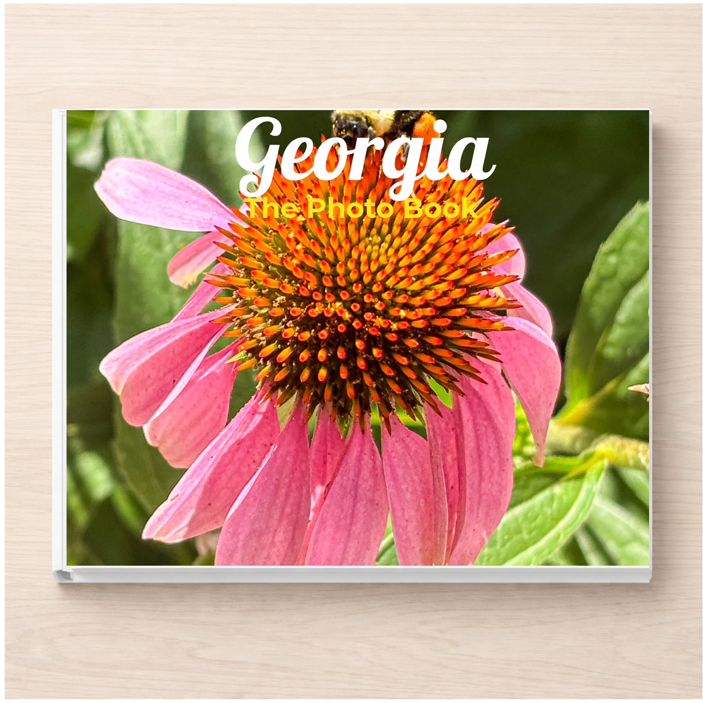 Georgia: The Photo Book