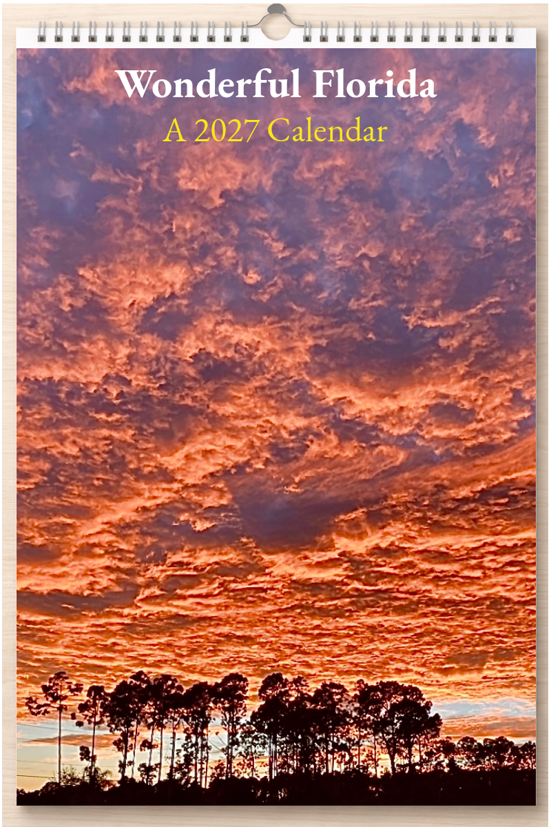 Wonderful Florida: A 2027 Calendar